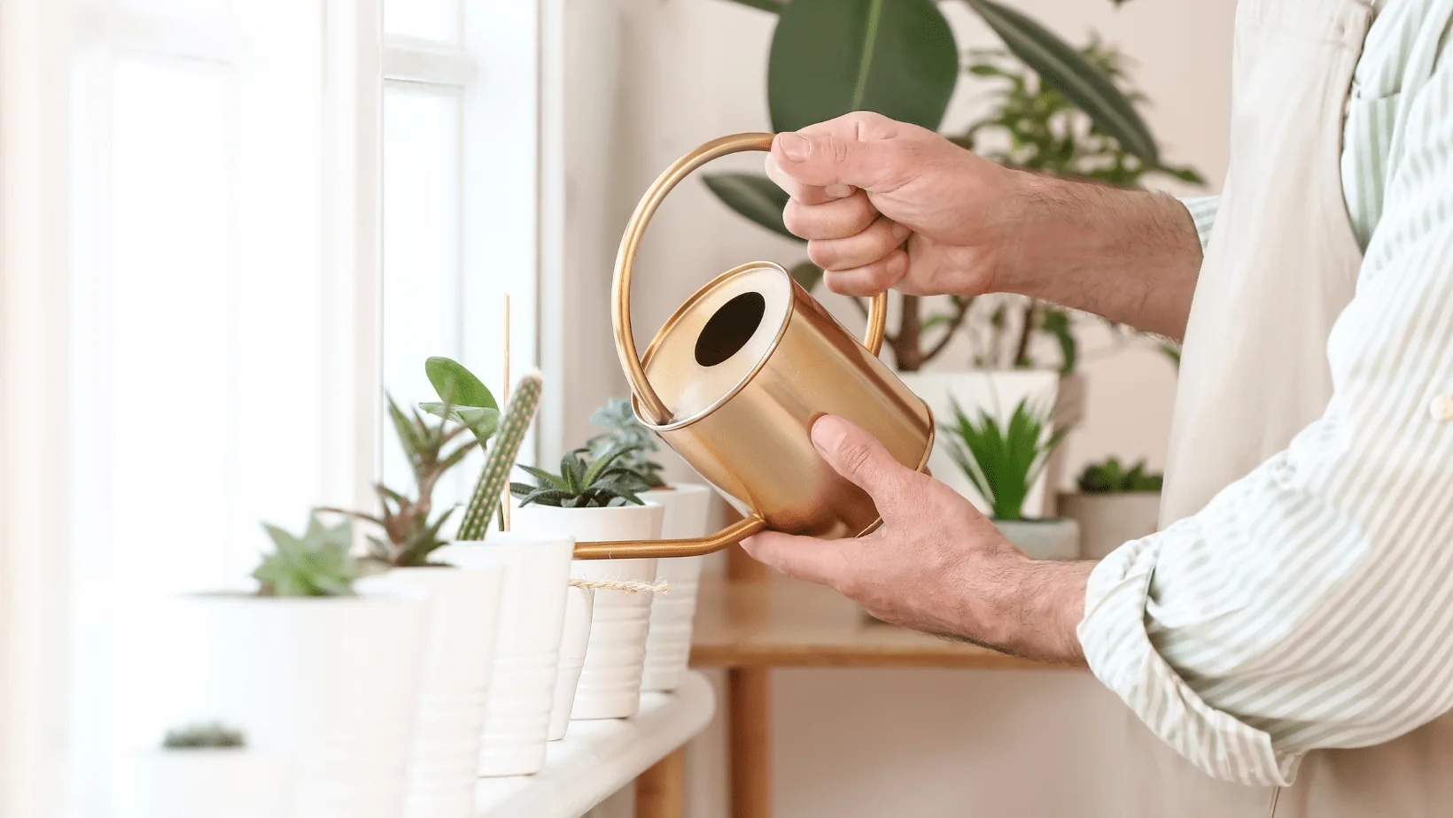 Comment améliorer la qualité de l'air dans votre maison ?