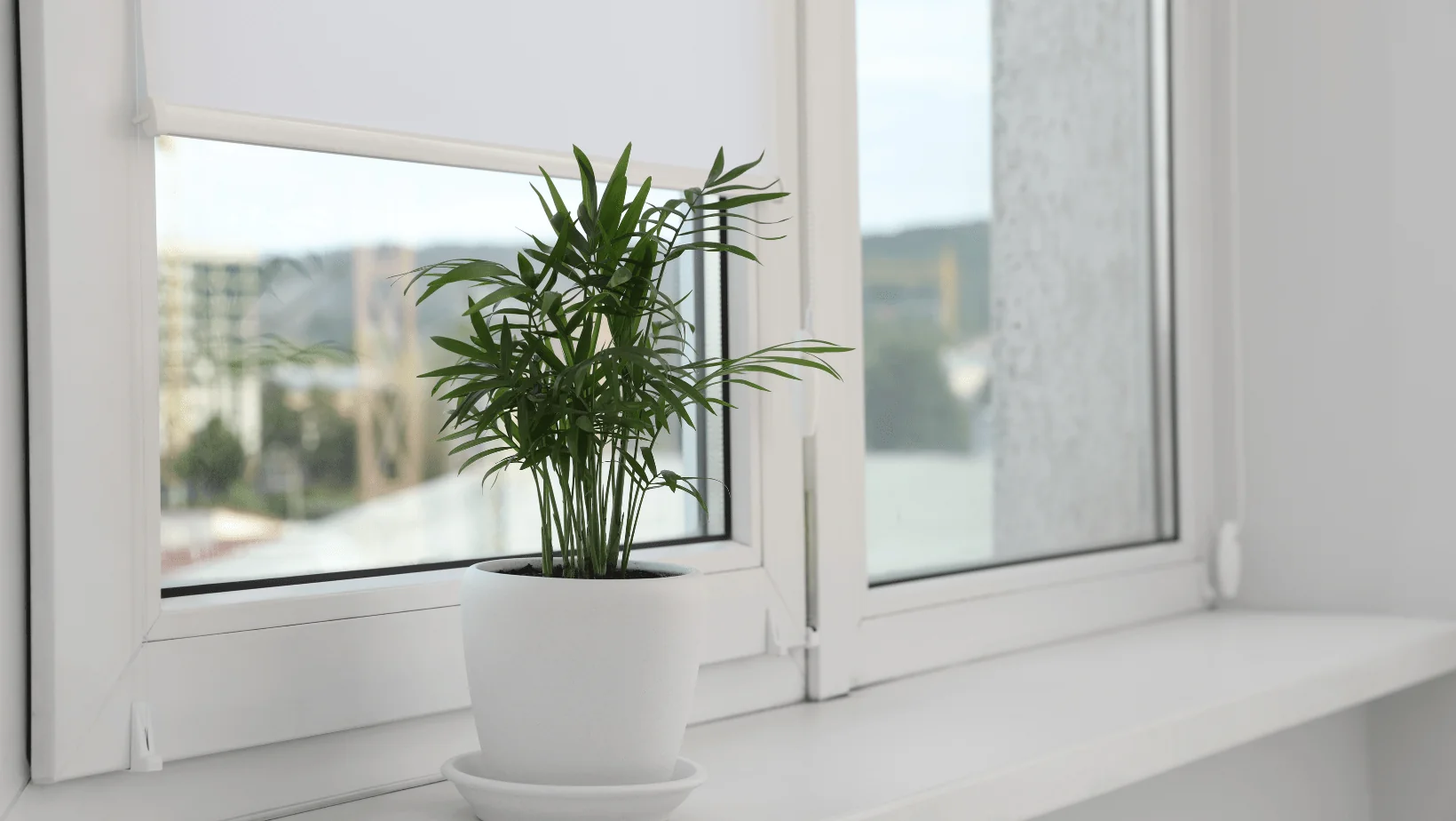 Les dernières tendances de décorations des fenêtres pour 2025